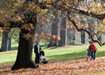 Option Two: Fitzroy Garden Heritage Tour