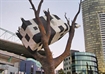 Image of Docklands walking tour