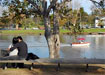 Birrarung Marr