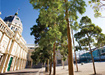 Image of The Royal Exhibition Building and Carlton Gardens Walk