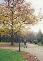 Domain Parklands
