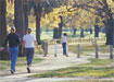 Image of Self-guided Melbourne walks