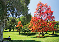 Image of Parks & gardens