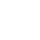 First Penguin icon