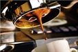 Image of The Vertue Of The Coffee Drink