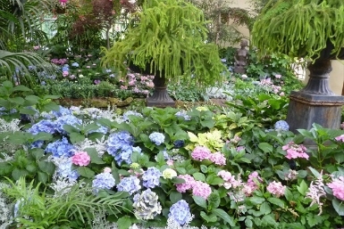 ConservatoryLarge Image 3