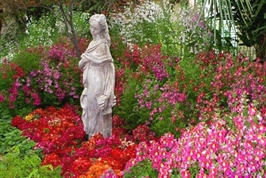 ConservatoryLarge Image 5