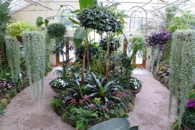 ConservatoryLarge Image 6
