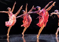 Image of Dance