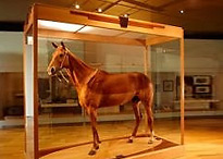 Image of History & heritage exhibitions